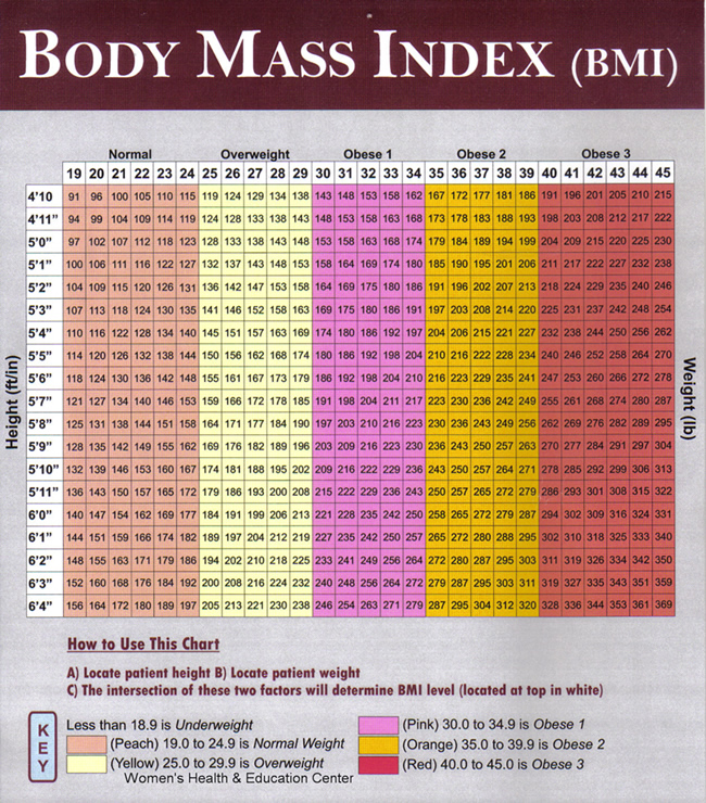 Body Index Chart