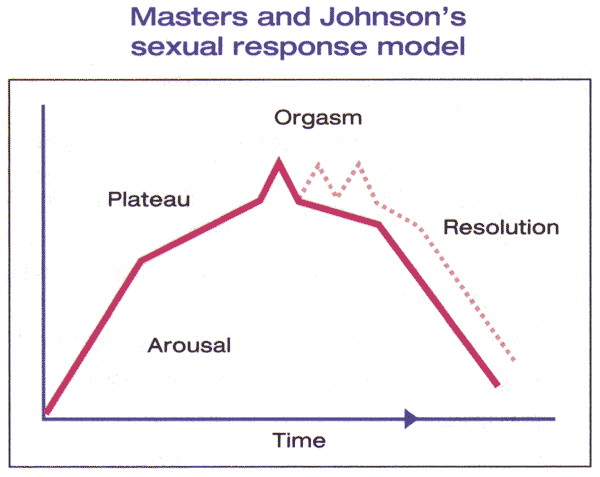 图1。马斯特斯和约翰逊的模型描述为四个步骤组成的一个女人的觉醒周期：觉醒，高原，高潮和分辨率。该模型包括妇女能力谁已经达到高潮阶段的经验（虚线）多重高潮。