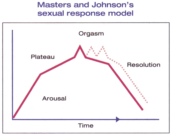 Figure 1. Le modle de Masters et Johnson dcrit le cycle d'veil d'une femme comme comprenant quatre tapes: excitation, plateau, l'orgasme et la rsolution. Le modle inclut la capacit des femmes qui ont atteint le stade de l'orgasme  prouver des orgasmes multiples (ligne pointille).