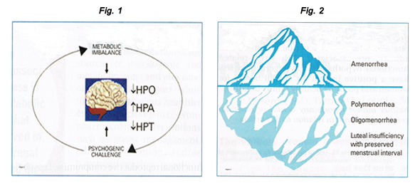 Fig.1