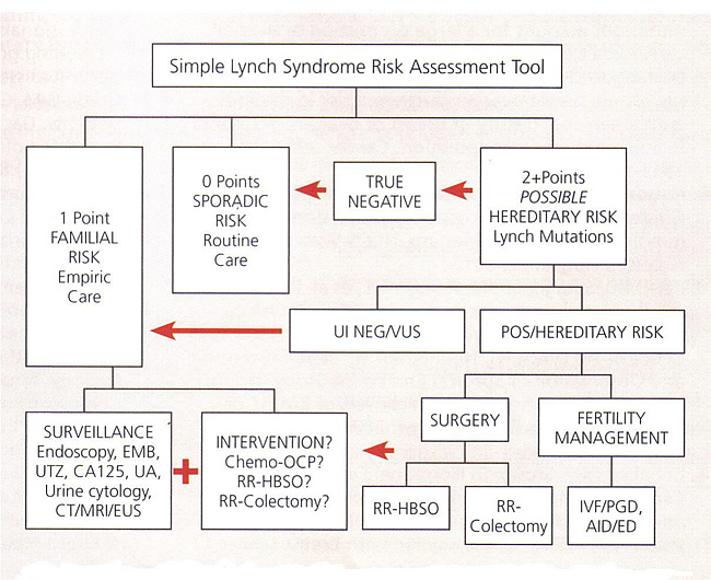 Simple Lynch Syndrome Risk Assessment Tool