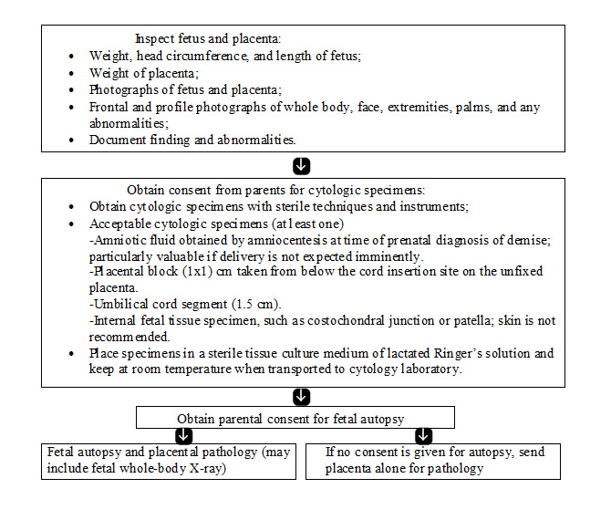 Pathophysiology of Pain and Infertility Associated with Endometriosis