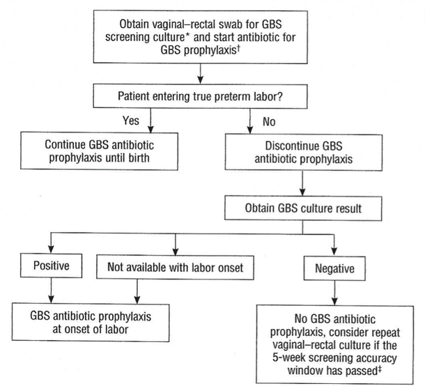 Fig.2