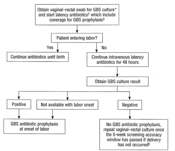 Fig.3