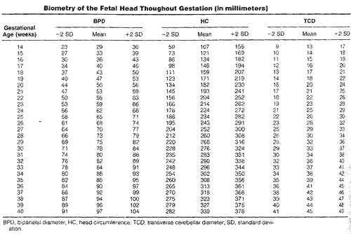 Fetal Cerebellum Measurement Chart
