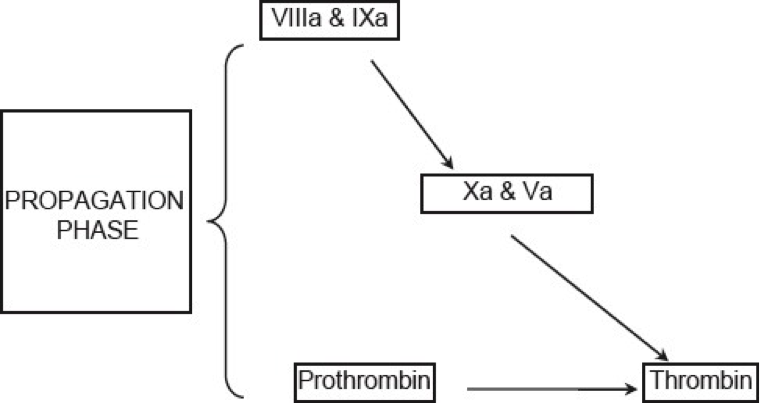 missing Fig6